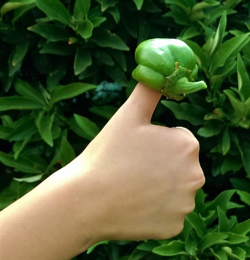 Green Thumb thumbs up