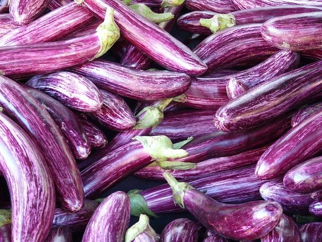 Lots Of Eggplants - How To Grow Eggplant