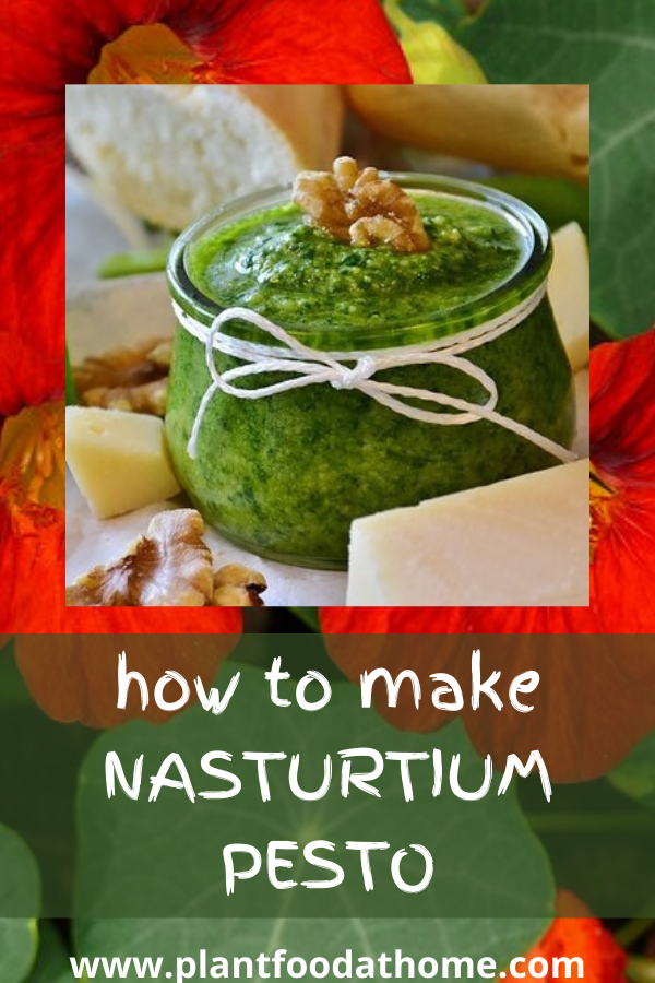 How to make Nasturtium Pesto