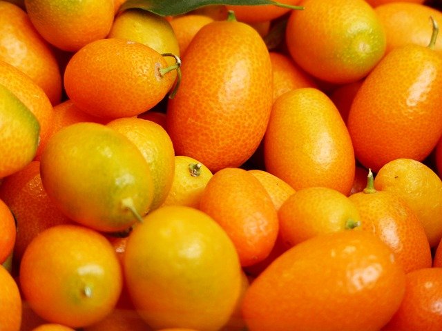 Nagami Kumquats - Kumquat tree care