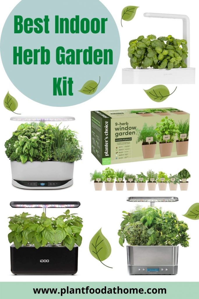 Best Indoor Herb Garden Kit