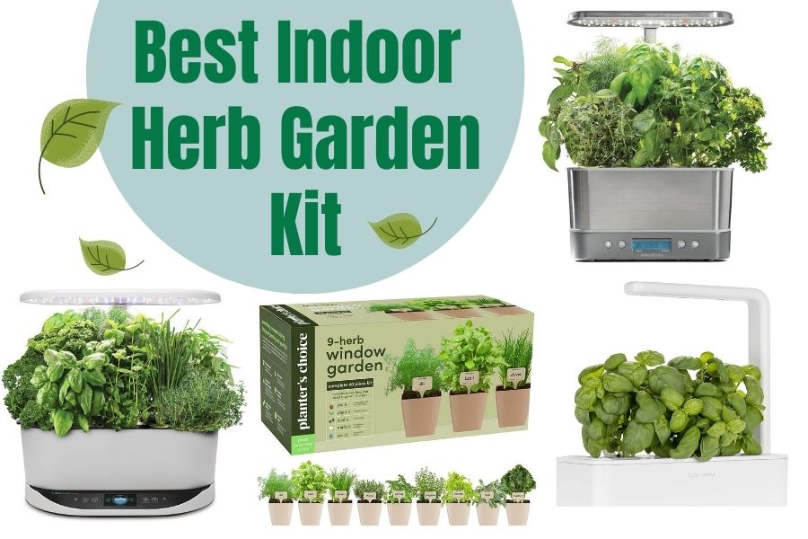 The Best Indoor Herb Garden Kit