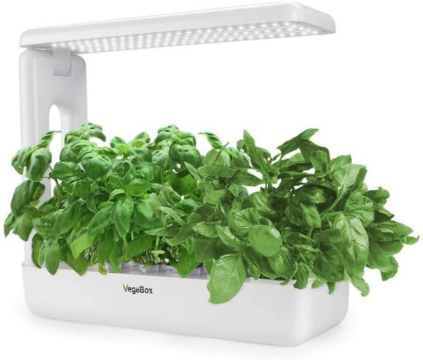 VegeBox K Box Herb Garden Kit - Best Indoor Herb Garden Kit