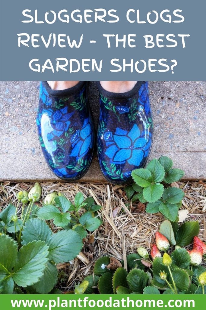 Sloggers Clogs Review - The Best Garden Shoes?