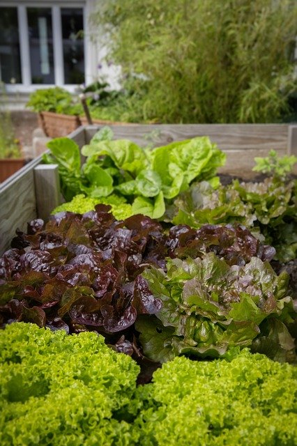 Square Foot Gardening - Planning A Square Foot Garden