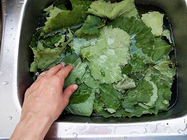 Washing Kale - How to Freeze Kale