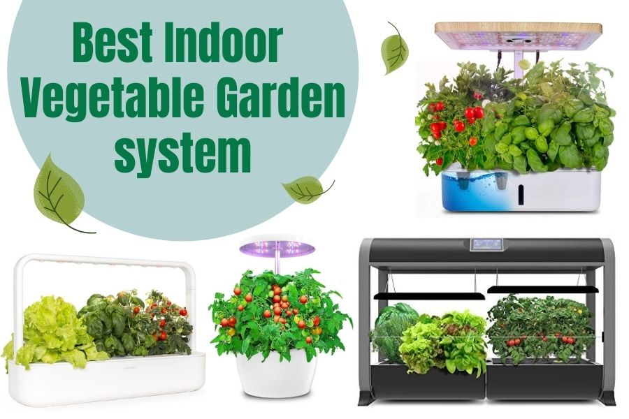 Best Indoor Vegetable Garden System