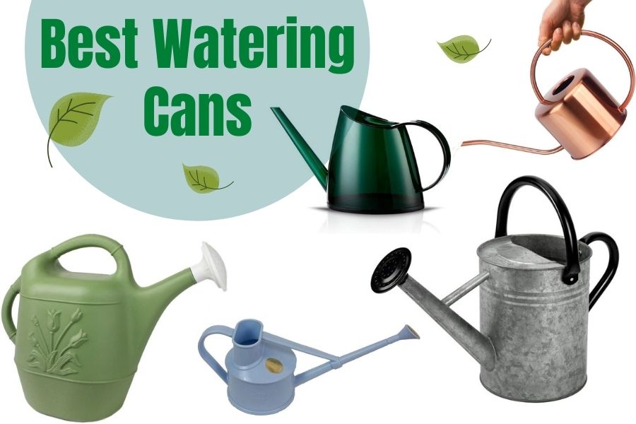 Best Watering Cans for Outdoors and Indoors