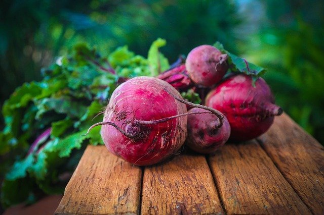 How to Grow Beets - Bulls Blood Beetroot