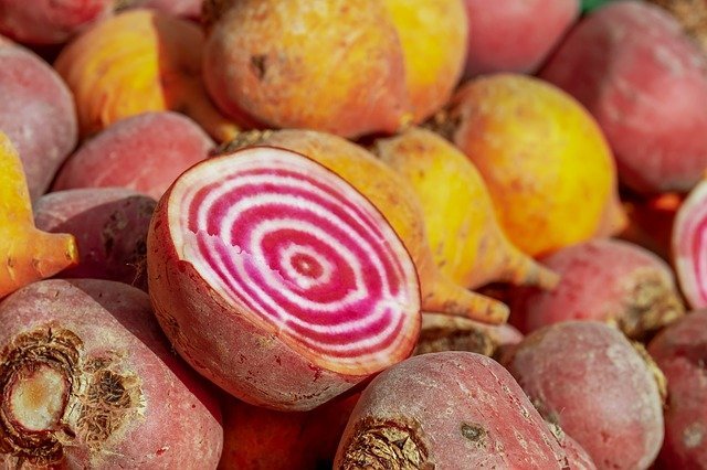How to Grow Beets - Chioggia Candy Cane Beetroot
