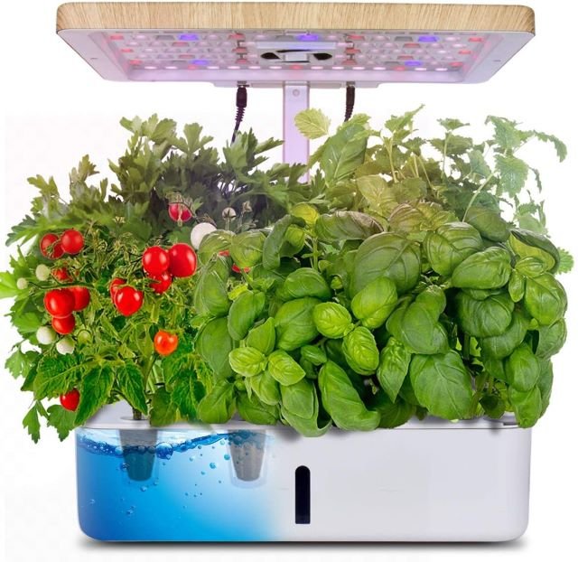 Moistenland Hydroponics Growing System - Best Indoor Vegetable Garden System