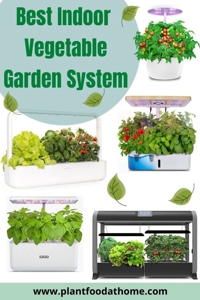 The Best Indoor Vegetable Garden System
