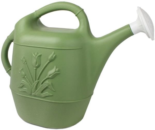 Union Watering Can with Tulip Design - Best Watering Cans