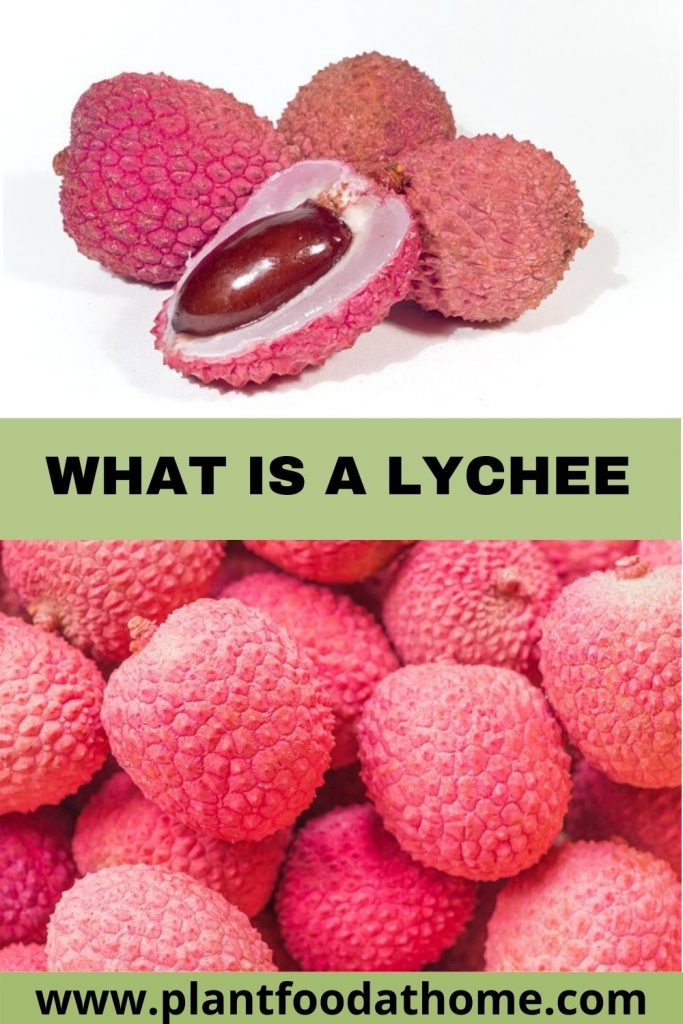 What is a Lychee