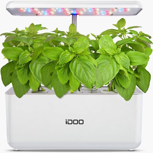 iDoo Hydroponic Indoor Garden - Best Indoor Vegetable Garden System