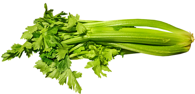 Celery - How to Grow Celery for Juicing