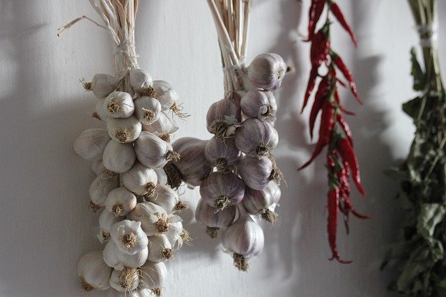 Hanging Garlic - How to Grow Garlic