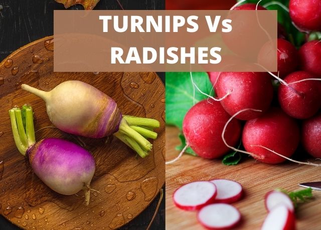 Turnips Vs Radishes - What's the Difference