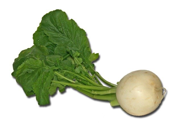 White Turnip with Leaves - Turnips Vs Radishes What's the Difference