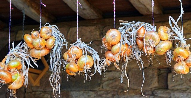 Why Hang Onions