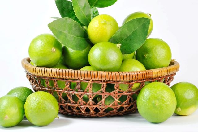 Key Limes in a Basket - How to Grow Key Limes for Key Lime Pie