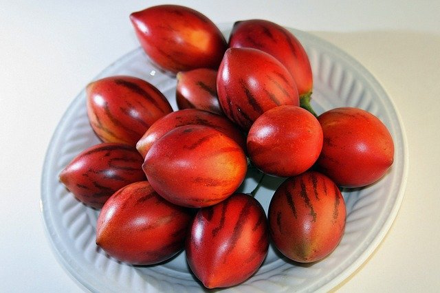 Red Tamarillo Fruit - How to Grow Tamarillo and Eat the Fruit