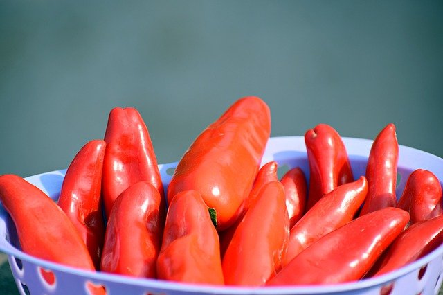Red Jalapeno Chili Peppers