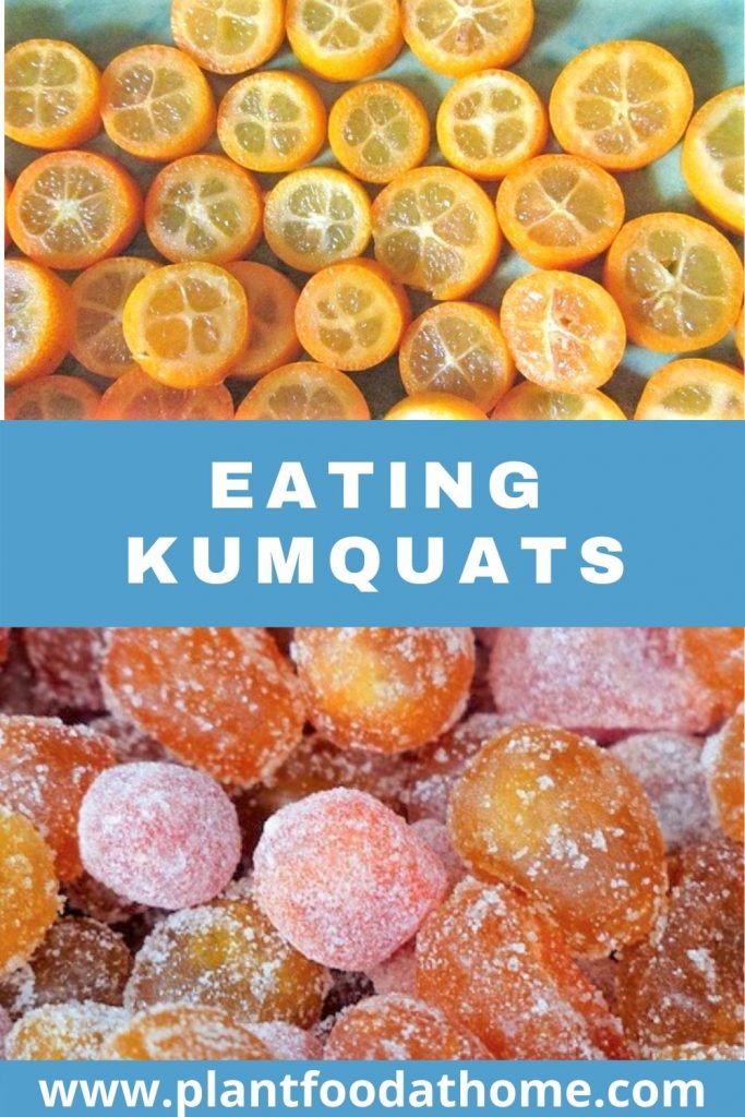 Eating Kumquats