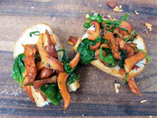 Warrigal Greens, Mushrooms and Garlic on Crusty Bread - How to Eat Warrigal Greens