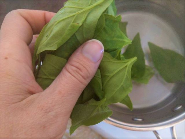 Warrigal Greens Should Be Cooked Before Eating