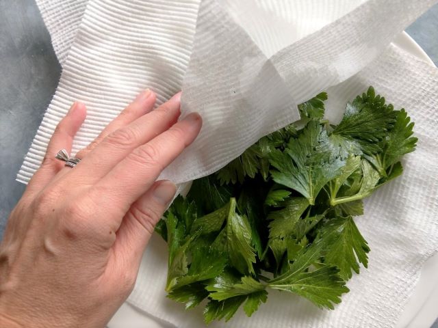 What to do with Celery Leaves - Drying off Celery Leaves