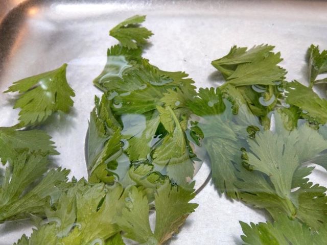 What to do with Celery Leaves - Washing Celery Leaves
