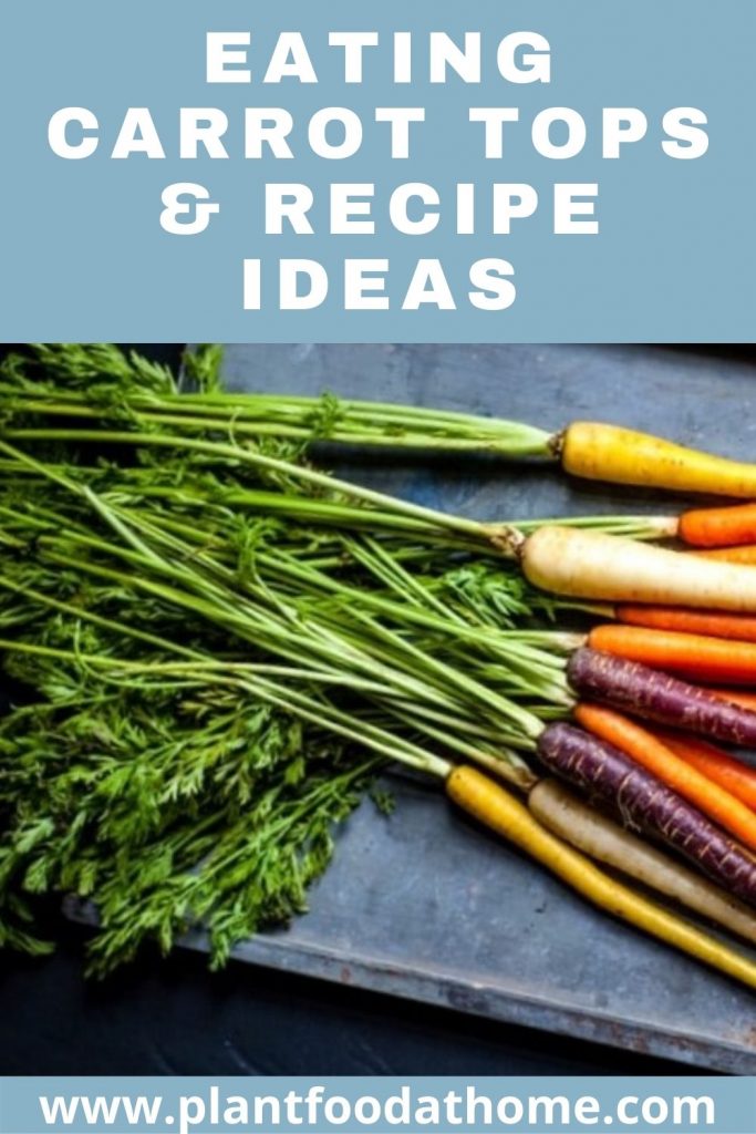 Eating Carrot Tops and Recipe Ideas