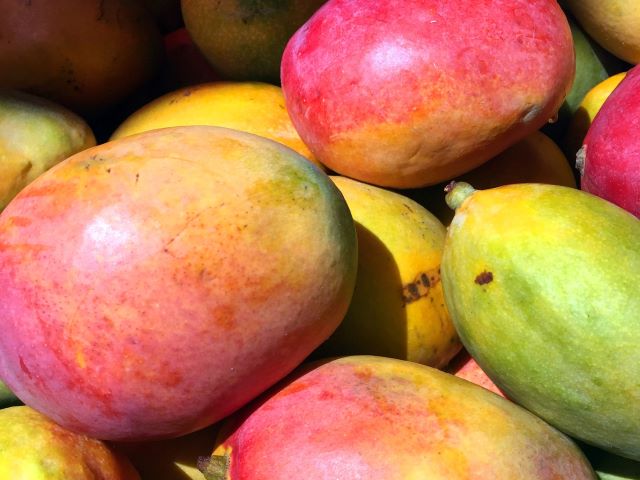 How to Grow a Mango Tree - Mangoes