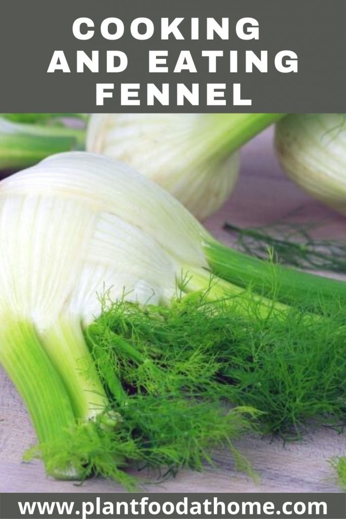 Cooking and Eating Fennel