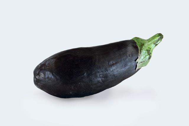 Old Eggplant - What Makes Eggplants Bitter