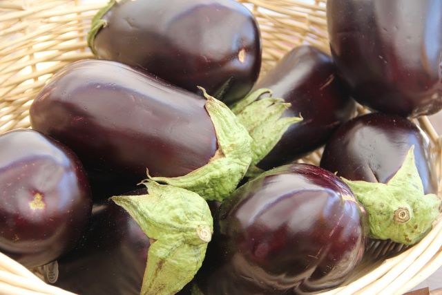 What Makes Eggplants Bitter