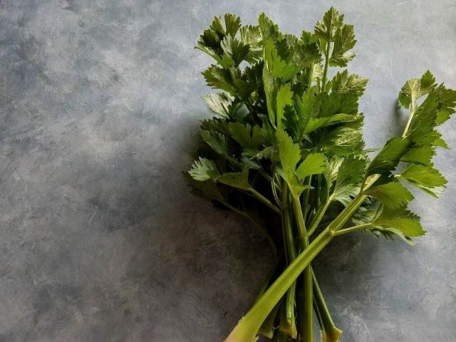 Why is Celery Bitter and How to Fix it - Bunch of Celery