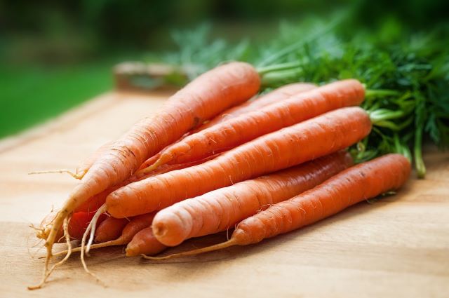 Bunch of Carrots - Are Carrots a Fruit or a Vegetable