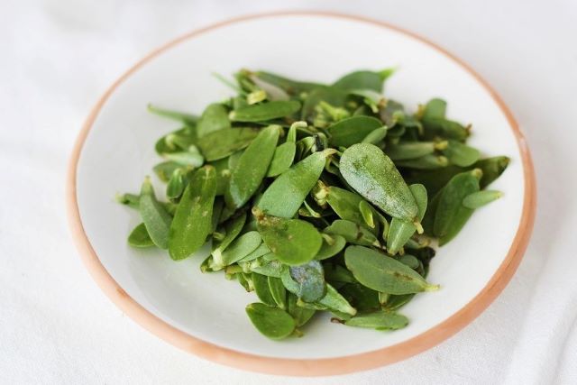 Purslane Leaves - Eating Purslane with Recipe Ideas