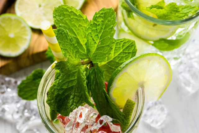 Cocktail drink with citruses and berries topped with fresh mint