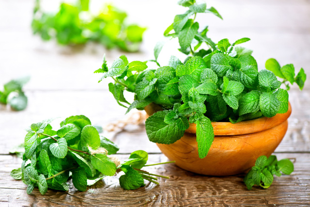 Bunch of fresh green mint on wooden table