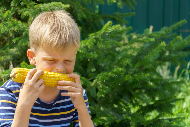 Boy eating sweet corn that happens to be sour.