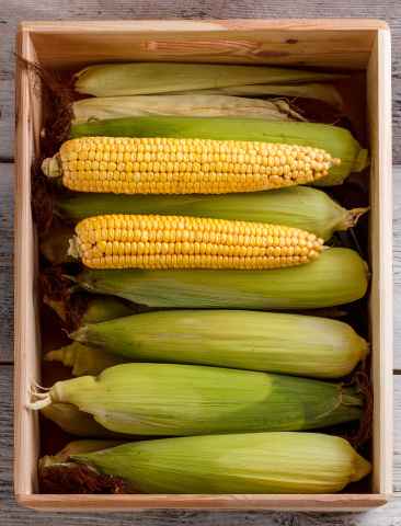 Storing sweet corn in a wooden crate at room temperature.