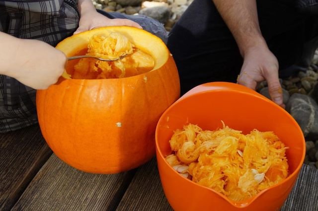 Scooping Out Halloween Pumpkin Flesh