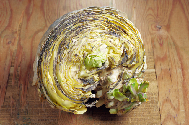 sliced cabbage that has gone bad and rotten